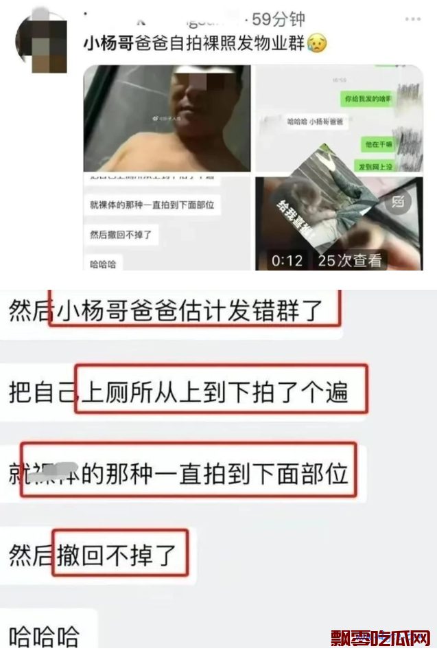 疯狂小杨哥的父亲遛鸟视频，小杨哥的父亲遛鸟不雅视频是真的吗